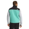 The North Face Denali Vest - Men's
