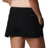 Columbia Alpine Chill Zero Short - Women's