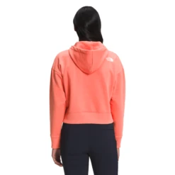 The North Face Logo Play Hoodie - Women's