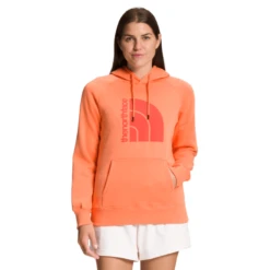 The North Face Jumbo Half Dome Pullover Hoodie - Women's -Togs Lane Sales Store 1270219 800 auto
