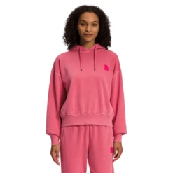 The North Face Garment Dye Hoodie - Women's -Togs Lane Sales Store 1351997 800 auto