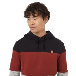 Tentree TreeFleece Blocked Reynard Hoodie - Men's